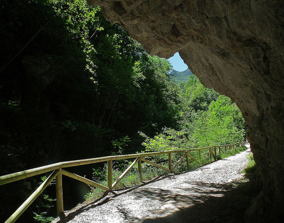 Camino de la ruta del alba